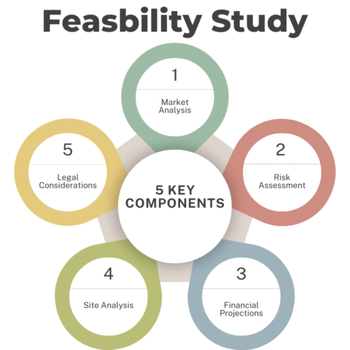 Market Feasibility Study